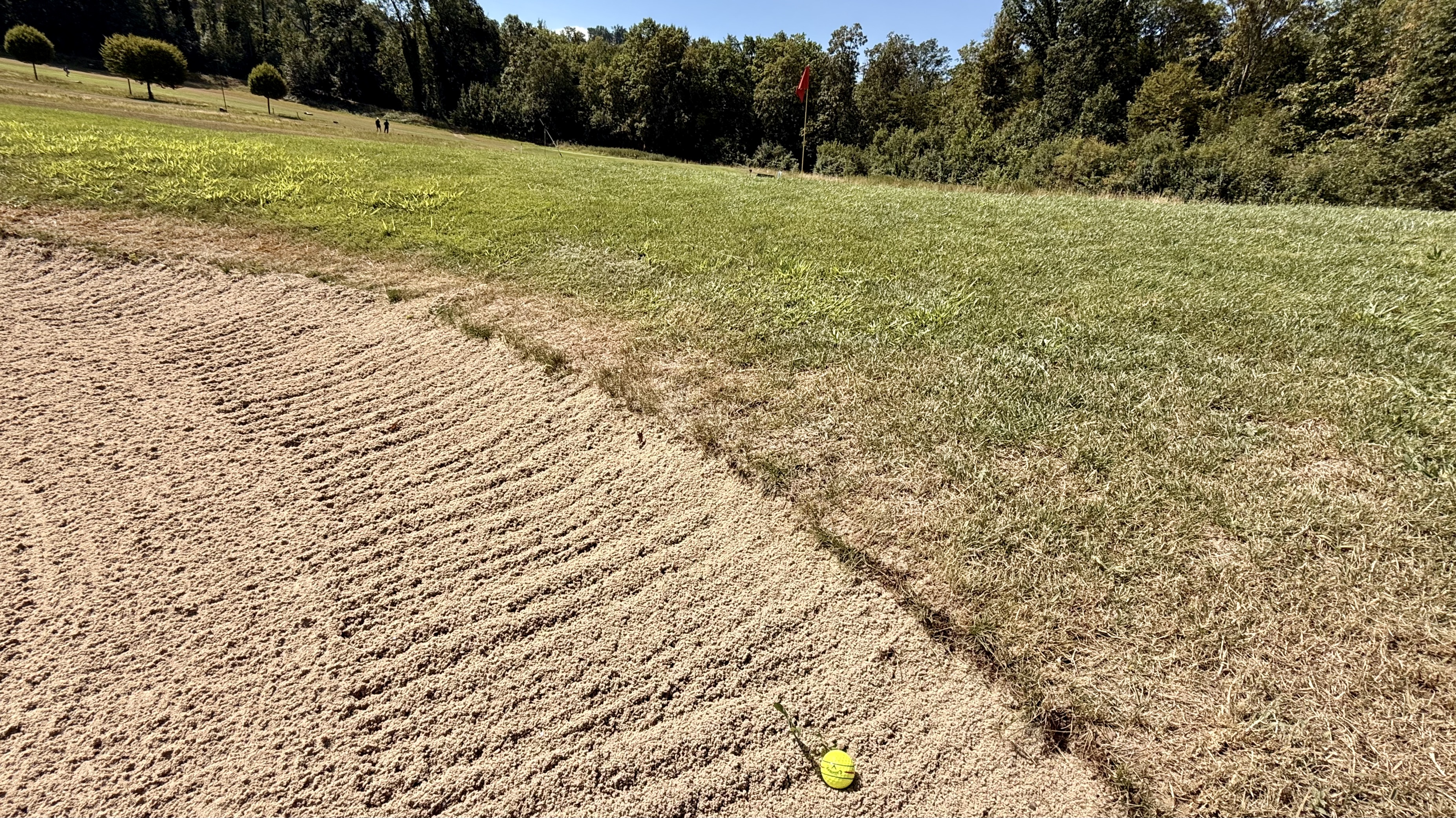 Golfplatz finden - Golf spielen - Golfspielen - Golfanlage - Golftraining - Golfkurse - Golfclub - Golfunterricht - Golfturniere - Golfwettkämpfe - Golfregeln - Golf - Golf für Anfänger - Golf für Fortgeschrittene - Golf für Kinder - Golf für Erwachsene - Golfevents -  Golf für Profis - Golfstunden - Golflehrer - Golfreisen - Golf Mitgliedschaft - Golfausrüstung - Golfplatz reservieren - Golf Rheinfelden - Golf Basel - Golf Aargau - golfzentrum.ch - Find Golf Course - Golf Playing - Golf Course - Golf Training - Golf Courses - Golf Club - Golf Lessons - Golf Tournaments - Golf Competitions - Golf Rules - Golf - Golf for Beginners - Golf for Advanced Players - Golf for Kids - Golf for Adults - Golf Events - Golf for Professionals - Golf Lessons - Golf Instructor - Golf Travel - Golf Membership - Golf Equipment - Reserve Golf Course - Golf Rheinfelden - Golf Basel - Golf Aargau - golfzentrum.ch