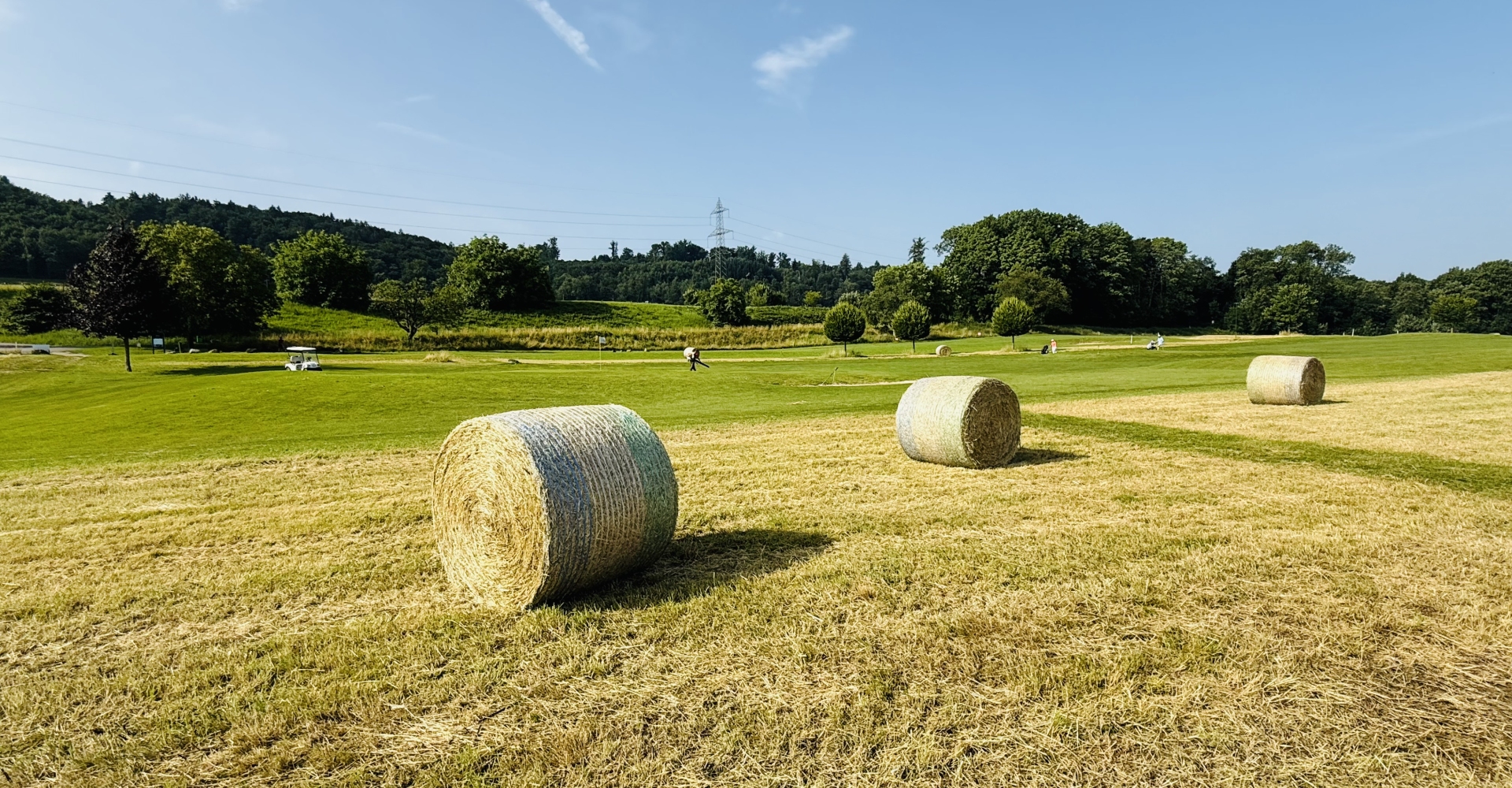 Golfplatz finden - Golf spielen - Golfspielen - Golfanlage - Golftraining - Golfkurse - Golfclub - Golfunterricht - Golfturniere - Golfwettkämpfe - Golfregeln - Golf - Golf für Anfänger - Golf für Fortgeschrittene - Golf für Kinder - Golf für Erwachsene - Golfevents -  Golf für Profis - Golfstunden - Golflehrer - Golfreisen - Golf Mitgliedschaft - Golfausrüstung - Golfplatz reservieren - Golf Rheinfelden - Golf Basel - Golf Aargau - golfzentrum.ch - Find Golf Course - Golf Playing - Golf Course - Golf Training - Golf Courses - Golf Club - Golf Lessons - Golf Tournaments - Golf Competitions - Golf Rules - Golf - Golf for Beginners - Golf for Advanced Players - Golf for Kids - Golf for Adults - Golf Events - Golf for Professionals - Golf Lessons - Golf Instructor - Golf Travel - Golf Membership - Golf Equipment - Reserve Golf Course - Golf Rheinfelden - Golf Basel - Golf Aargau - golfzentrum.ch