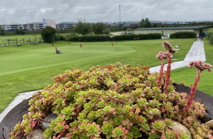Golfplatz finden - Golf spielen - Golfspielen - Golfanlage - Golftraining - Golfkurse - Golfclub - Golfunterricht - Golfturniere - Golfwettkämpfe - Golfregeln - Golf - Golf für Anfänger - Golf für Fortgeschrittene - Golf für Kinder - Golf für Erwachsene - Golfevents - Golf für Profis - Golfstunden - Golflehrer - Golfreisen - Golf Mitgliedschaft - Golfausrüstung - Golfplatz reservieren - Golf Rheinfelden - Golf Basel - Golf Aargau - golfzentrum.ch - Find Golf Course - Golf Playing - Golf Course - Golf Training - Golf Courses - Golf Club - Golf Lessons - Golf Tournaments - Golf Competitions - Golf Rules - Golf - Golf for Beginners - Golf for Advanced Players - Golf for Kids - Golf for Adults - Golf Events - Golf for Professionals - Golf Lessons - Golf Instructor - Golf Travel - Golf Membership - Golf Equipment - Reserve Golf Course - Golf Rheinfelden - Golf Basel - Golf Aargau - golfzentrum.ch