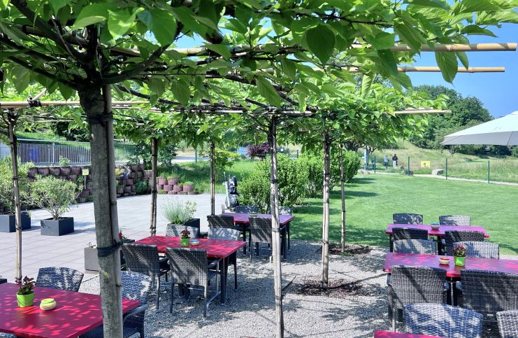 Golfplatz finden - Golf spielen - Golfspielen - Golfanlage - Golftraining - Golfkurse - Golfclub - Golfunterricht - Golfturniere - Golfwettkämpfe - Golfregeln - Golf - Golf für Anfänger - Golf für Fortgeschrittene - Golf für Kinder - Golf für Erwachsene - Golfevents - Golf für Profis - Golfstunden - Golflehrer - Golfreisen - Golf Mitgliedschaft - Golfausrüstung - Golfplatz reservieren - Golf Rheinfelden - Golf Basel - Golf Aargau - golfzentrum.ch - Find Golf Course - Golf Playing - Golf Course - Golf Training - Golf Courses - Golf Club - Golf Lessons - Golf Tournaments - Golf Competitions - Golf Rules - Golf - Golf for Beginners - Golf for Advanced Players - Golf for Kids - Golf for Adults - Golf Events - Golf for Professionals - Golf Lessons - Golf Instructor - Golf Travel - Golf Membership - Golf Equipment - Reserve Golf Course - Golf Rheinfelden - Golf Basel - Golf Aargau - golfzentrum.ch